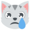Gato Llorando