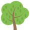 Árbol De Hoja Caduca