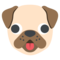 Cara De Perro