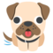 Perro