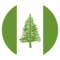 Bandera: Isla Norfolk