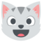 Gato Sonriendo
