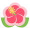 Flor De Hibisco