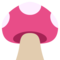 Seta