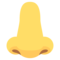 Nariz