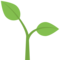 Planta Joven