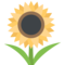 Girasol
