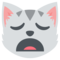 Gato Asustado