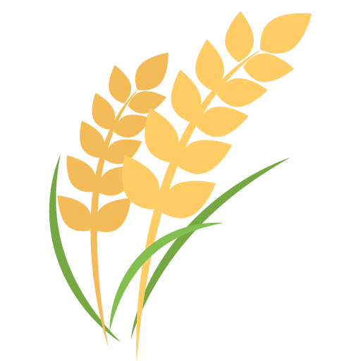 حزمة من الأرز