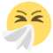 Kýchající obličej