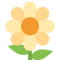 زهرة