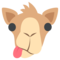 جمل وحيد السنام