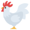دجاجة