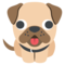 كلب