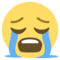 وجه يبكي بشدة