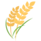 حزمة من الأرز