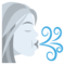 وجه الريح