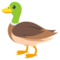 بطة