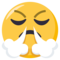 وجه بأنف يصدر بخارًا