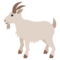 معزة