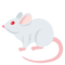 فأر