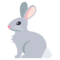 أرنب