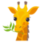 Žirafa