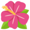 Ibišek