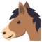 Koňská tvář