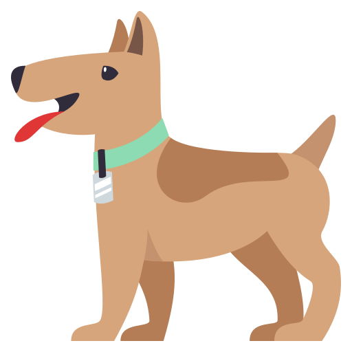 Cachorro