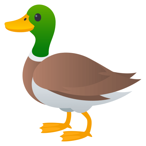Pato