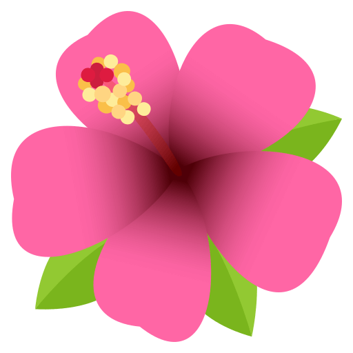 Hibisco