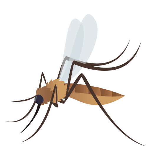 Mosquito