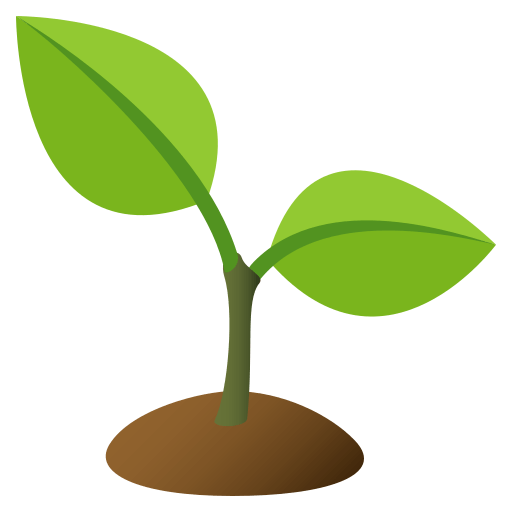 Muda De Planta