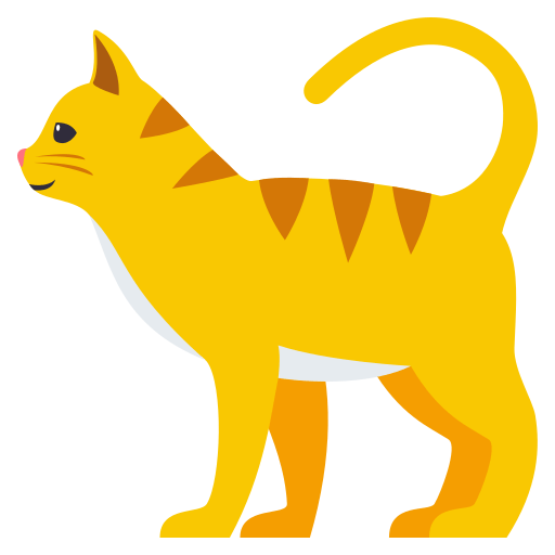 Kot