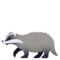Dachs