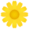 Gelbe Blüte