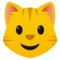 Katzengesicht