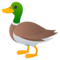 Ente