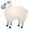Schaf