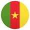 Bandiera: Camerun