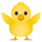Küken Von Vorne