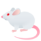Maus