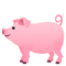 Schwein