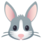 Hasengesicht
