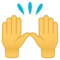 Zwei Erhobene Handflächen