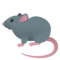 Ratte