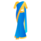 Sari