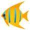 Tropenfisch