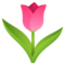 Tulpe